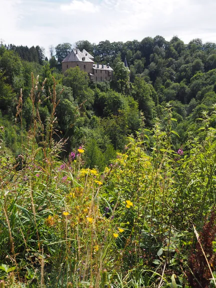 Chateau de Reinhardstein (België)